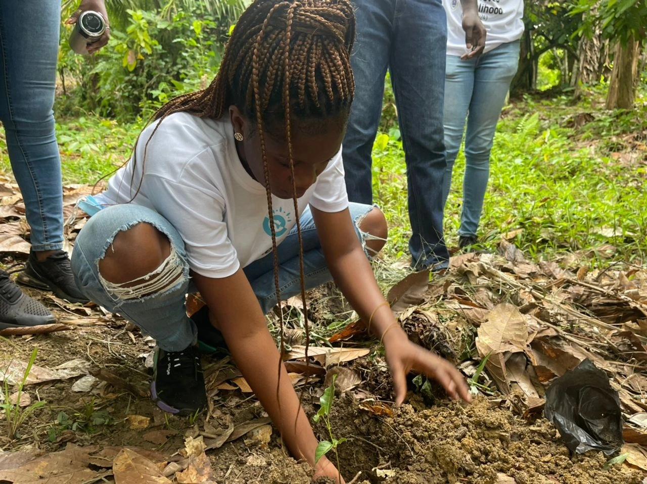 Green Ghana Day Gallery Image